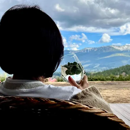 Superior Z 1 Sypialnia - Widok Na Gory, Prywatna Sauna W Cenie, Taras - Luksus I Natura - Sunny Slope アパート シクラルスカ・ポレンバ