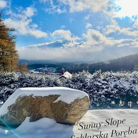 Apartment Superior Z 1 Sypialnia Widok Na Gory, Prywatna Sauna, Taras Luksus I Natura Sunny Slope *