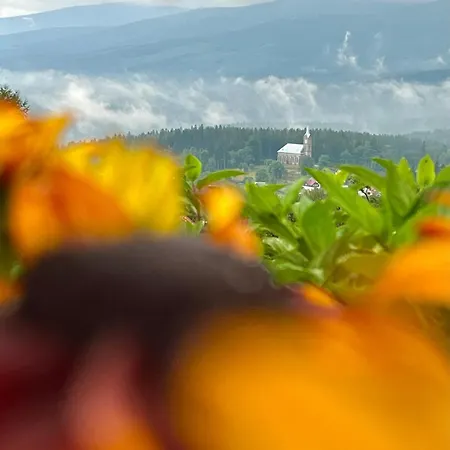 Superior Z 1 Sypialnia Widok Na Gory, Prywatna Sauna, Taras Luksus I Natura Sunny Slope * Szklarska Poreba