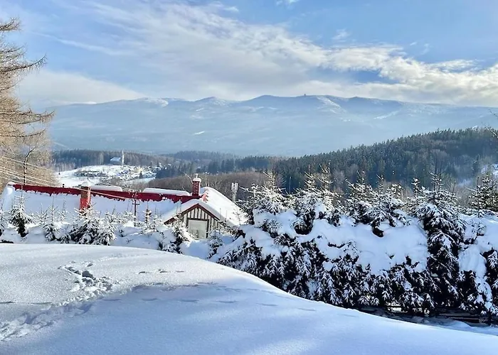 Superior Z 1 Sypialnia - Widok Na Gory, Prywatna Sauna W Cenie, Taras - Luksus I Natura - Sunny Slope Schreiberhau